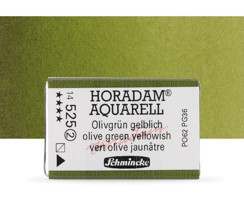 Schmincke Horadam Aquarell Tam Tablet Olive Green Yellow Sulu Boya