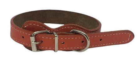 Doglife Ayarlanabilir Boyun Köpek Tasması 1.5 cm x 40 cm Kırmızı