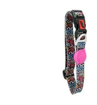 Tailpetz Graffiti Ayarlanabilir Boyun Köpek Tasması XS Çok Renkli