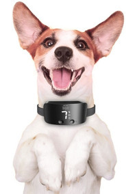 Doggie Ayarlanabilir Eğitim Tasması Köpek Tasması M Siyah