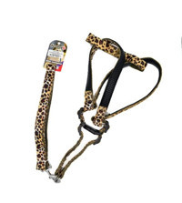 Eurodog Ayarlanabilir Göğüs Köpek Tasması 2.5 x 120 cm Çok Renkli