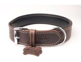 Privilege Ayarlanabilir Boyun Köpek Tasması 2.5 x 32 - 41 cm Koyu Kahverengi