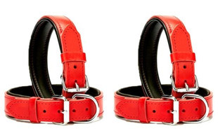 Desingshop Ayarlanabilir Boyun Köpek Tasması 2.5 x 56 cm Kırmızı