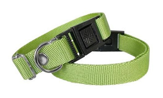 Markapet Ayarlanabilir Köpek Tasması 2 x 30 x 50 cm Yeşil
