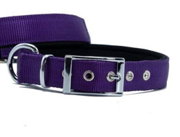 Doggie Elit Ayarlanabilir Boyun Köpek Tasması 2.5 x 42 - 50 cm Mor