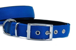 Doggie Elit Ayarlanabilir Boyun Köpek Tasması 2.5 x 42 - 50 cm Mavi