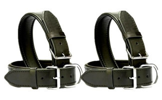 Desingshop Dsg2215gz Ayarlanabilir Köpek Tasması 2.5 x 56 cm Siyah