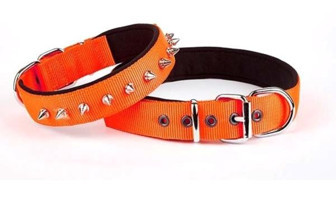 Doggie Comfort Ayarlanabilir Boyun Köpek Tasması M Turuncu