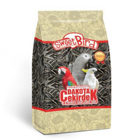 Sweet Bird Dakota Papağan Çekirdeği Kabuklu Sade Yavru-Yetişkin Kuş Yemi 600 gr