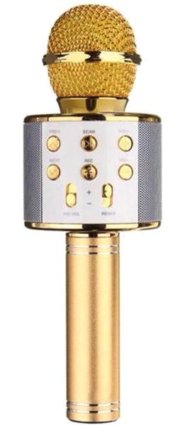 Powermaster PM-17185 Kablosuz Bluetooth El Mikrofonu Altın