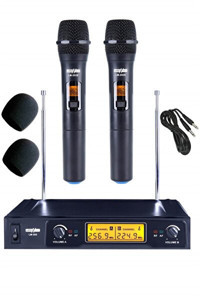 Lastvoice Lm-202Ee 6.3 mm Kablosuz El Mikrofonu Siyah