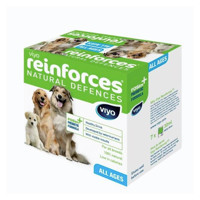 Viyo Reinforces 210 ml 1 Adet Macun Köpek Vitamini
