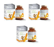 Argivit Focus Aromasız Çocuk Vitamin 3x30 Tablet