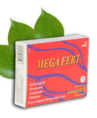 Mega Fert Fert Aromasız Yetişkin Vitamin 30 Kapsül
