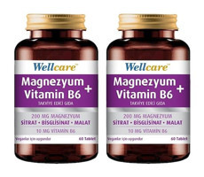 Wellcare Magnezyum Vitamin B6 Aromasız Yetişkin Vitamin 60 Tablet