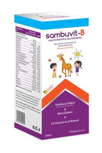 Sambuvit B Multivitamin Karamürverli Yetişkin Vitamin 250 ml