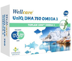 Wellcare Uniq Dha 750 Omega 3 Aromasız Yetişkin Vitamin 30 Kapsül