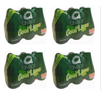 Avşar Cool Lime Limon Nane Soda 24'lü 200 ml