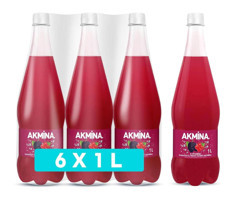 Akmina Kırmızı Meyveler Soda 6'lı 1 lt