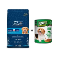 Felicia Somon Tüm Irklar Yetişkin Köpek Maması 3 kg