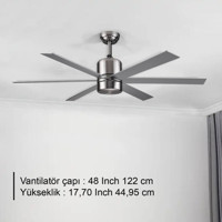 Rubenis RBT486 Slv Glob Metal 6 Kanatlı Gri Tavan Vantilatörü
