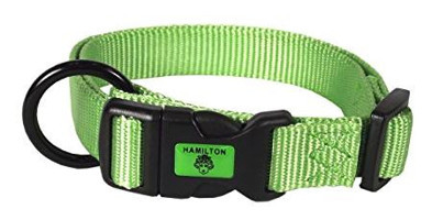 Hamilton Ayarlanabilir Boyun Köpek Tasması Limon