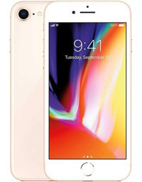 Apple iPhone 8 64 GB Hafıza 2 GB Ram 4.7 inç 12 MP IPS LCD 1821 mAh iOS Yenilenmiş Cep Telefonu Gold