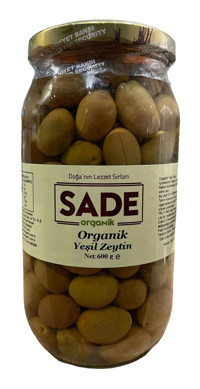 Sade Organik Tuzlu Salamura Çizik Yeşil Zeytin Kavanoz 600 gr