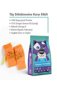 Kittylife Somonlu Tahılsız Yetişkin Kedi Maması 10 kg