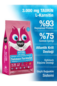 Kittylife Somonlu Tahılsız Yavru Kedi Maması 2 kg