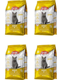 Energy Tavuklu Az Tahıllı Yetişkin Kedi Maması 4x500 gr