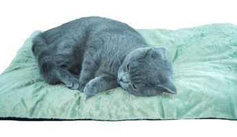 Patiderm Yıkanabilir 90 x 60 cm Sepet Kedi Yatağı Çok Renkli