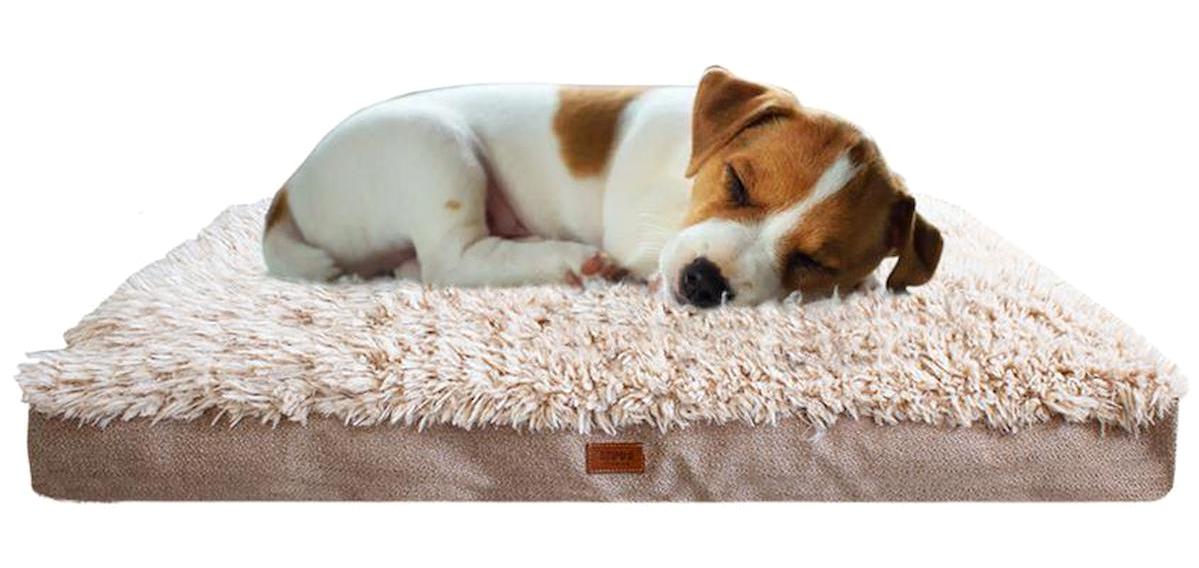Lepus Pophidic Cushion Küçük Irk İç Mekan Köpek Yatağı Krem