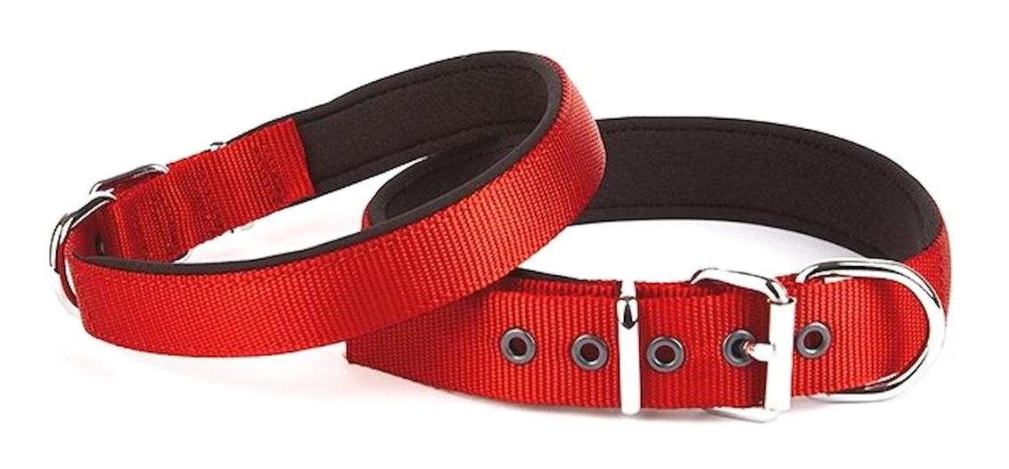 Doggie Ayarlanabilir 52-60 cm Boyun Köpek Tasması Kırmızı