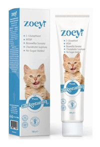 Zoey Glukozamin D Vitamini Eklem Güçlendirici Yetişkin Kedi Vitamini Macun 100 gr