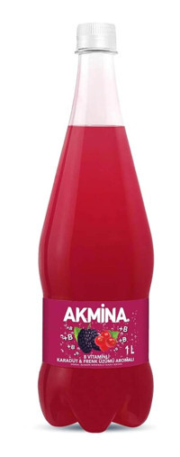 Akmina Kırmızı Meyveli Soda 1 lt
