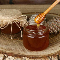 BenimAktar Organik Çam Balı 500 gr