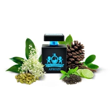 Lion Francesco Afrozy Deep Blue Man EDP Odunsu Erkek Parfüm 100 ml