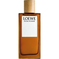 Loewe Solo EDT Erkek Parfüm 100 ml