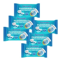 Freshmaker 2 Katlı 6x40 Yaprak Islak Tuvalet Kağıdı