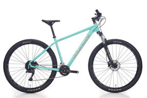 Bianchi MAGMA 29.1 29 Jant 24 Vites Dağ Bisikleti Yeşil