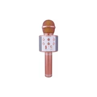 Pazariz WS-858 Bluetooth Hoparlör Rose Gold