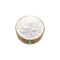 Bakkal Hasan Gazientep Pudra Şekeri 5 kg