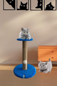 Nursoft Oturaklı Oyuncaklı 42 cm Kedi Tırmalama Tahtası Mavi