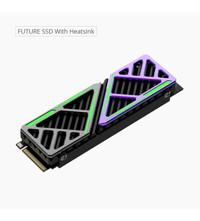 Hiksemi Future X PCIE M2 2 TB m2 2280 SSD