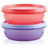 Tupperware Şeker 4'lü Plastik Saklama Kabı 2x300 ml