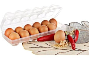 Depposıte Tekli Plastik Saklama Kabı