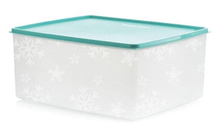 Tupperware Alaska 2'li Plastik Saklama Kabı 6 lt