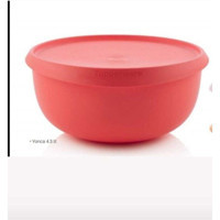 Tupperware Yonca 2'li Plastik Saklama Kabı 4.3 lt