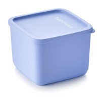 Tupperware Eco 2'li Plastik Saklama Kabı 1 lt